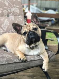 33778995_10156761402459869_3911538948257611776_n