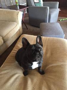 37230987_1030098873824151_2871718526853316608_n