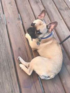 37338414_10160598131490253_3657393260768264192_n