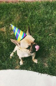 37825323_2056991021000077_5447147626690510848_n