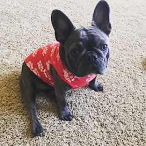 19989804_814336665400374_4893057847177200599_n