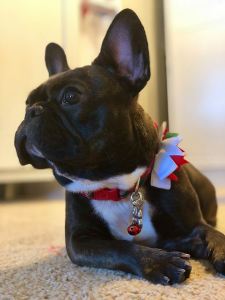 24232935_887554864745220_6426025407063181754_n