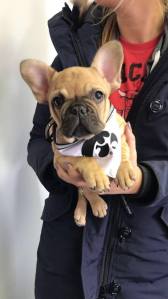 27540619_923420767825296_666700034149239490_n