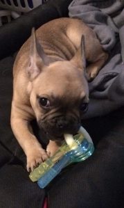 29134000_943817645785608_1759662340726670088_n