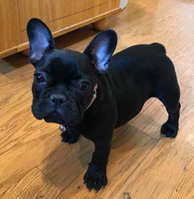 33839834_985967471570625_5300896074636984320_n