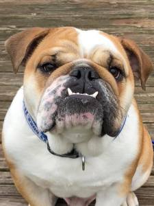 35882394_10213995861002048_1020925009138286592_n