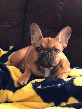 36758526_1018148678352504_236272846806974464_n