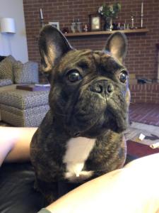 38692649_1588744471230489_2042527450583269376_n