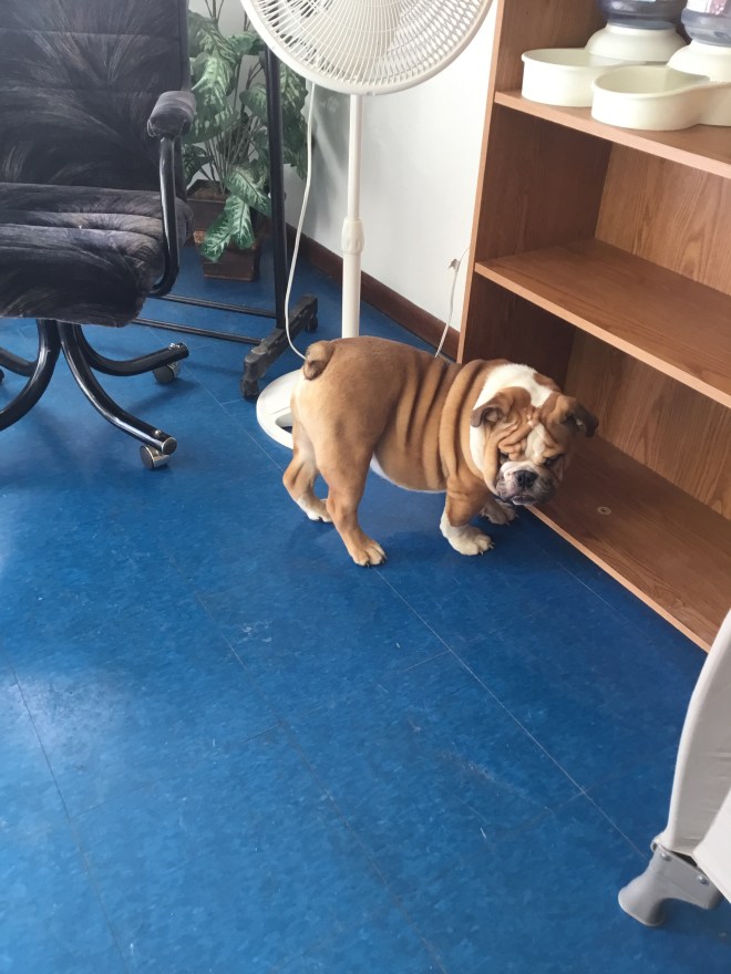 1f4da443-e281-48c4-9c43-77feec9b6bfe