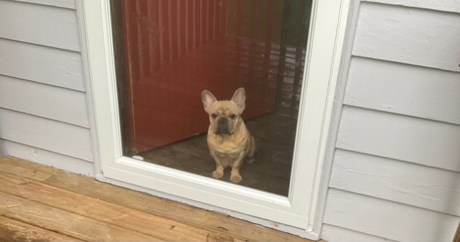 1557DF08-FEF4-4FC8-81CA-44554D569EF2