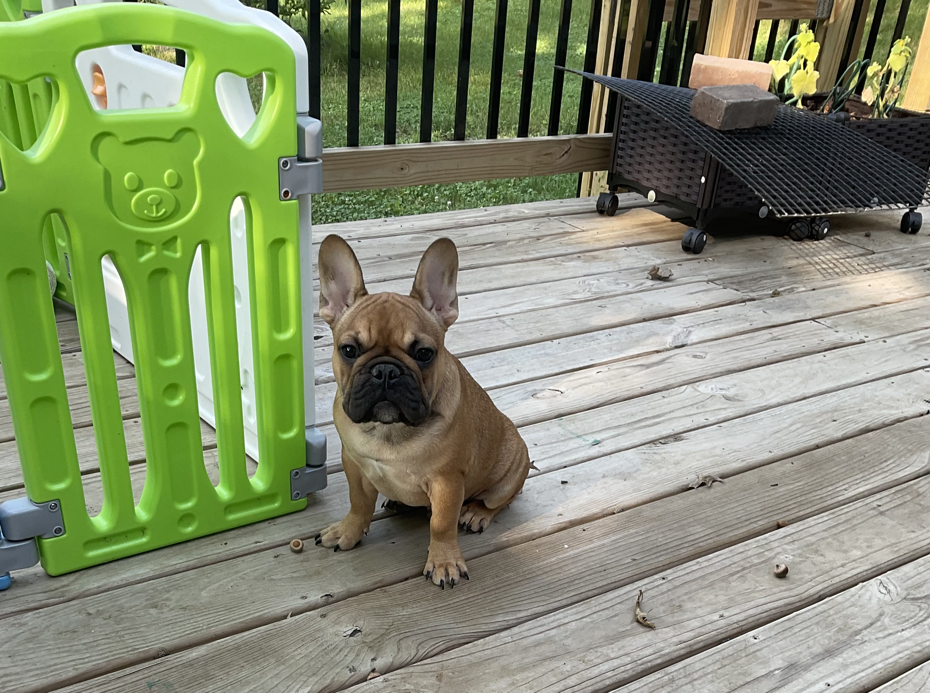 092A3F72-F01C-49D9-92C5-F84A71596D7C